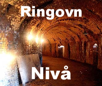 Ringovnen i Nivå